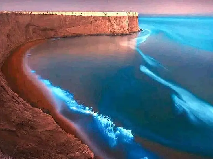Phytoplankton bioluminescence in the waters of Hormuz Island at night