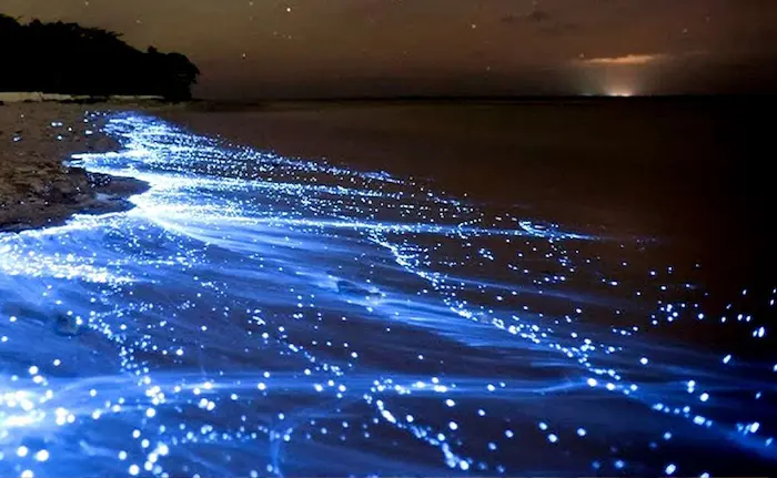 ساحل شن های نقره ای هرمز