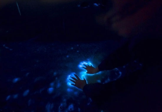 درخشش فیتوپلانکتونها در شب در ساحل جزیره هرمز