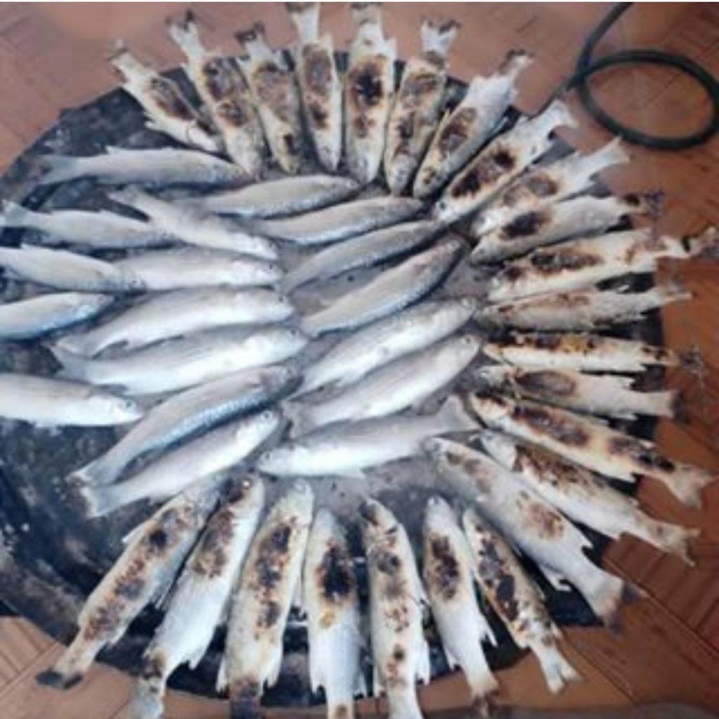 کباب دریایی هرمز