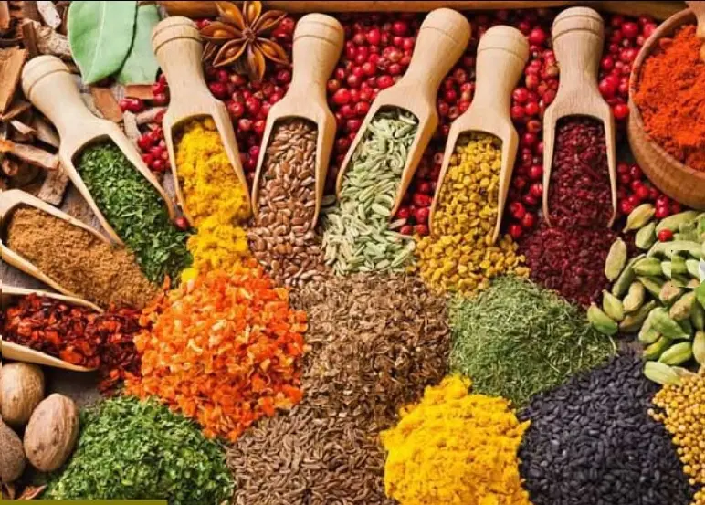 ادویه جنوب