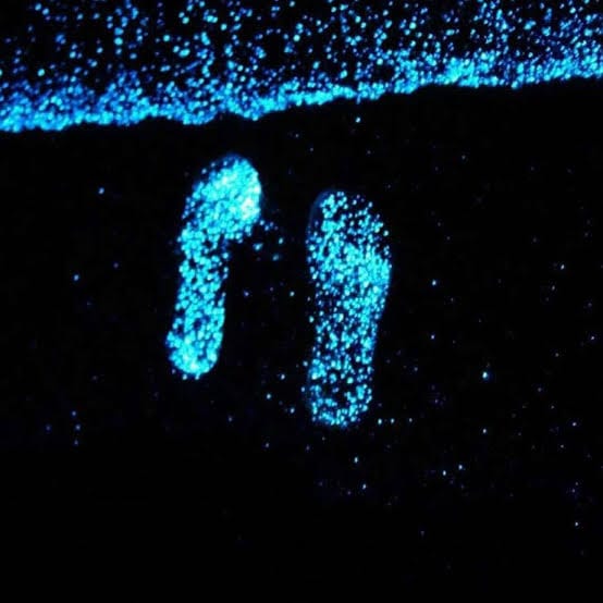 جزیره هرمز در شب و شگفتی درخشش فیتوپلانکتونها 2 Bioluminescent phytoplankton glowing in the sea at Hormuz Island at night